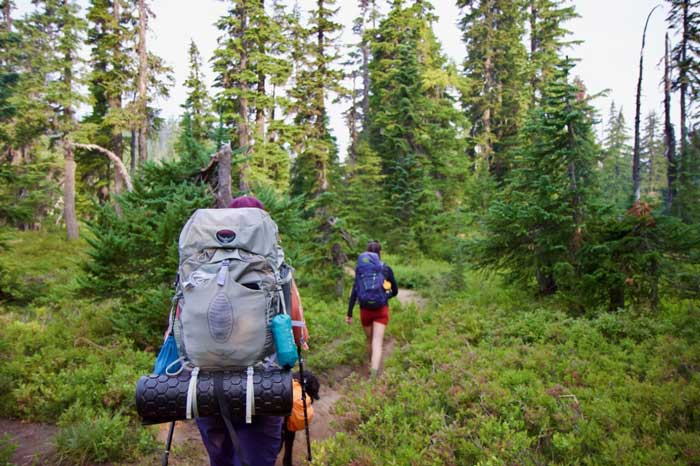 two people hiking with backpacks